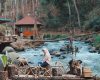 Rute dan Harga Tiket Masuk Kampung Singkur Pangalengan, Destinasi Wisata Asyik dengan Spot Foto Instagenic