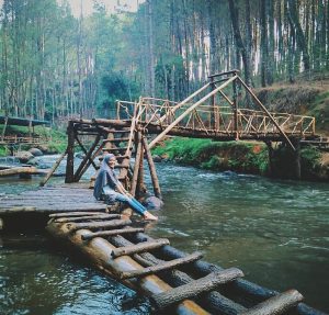 Rute dan Harga Tiket Masuk Kampung Singkur Pangalengan, Destinasi Wisata Asyik dengan Spot Foto Instagenic