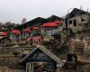 Jam Buka dan Lokasi Pondok Pinus Palutungan Kuningan, Destinasi Wisata Baru Yang Siap Dituju Untuk Liburanmu