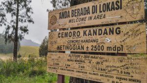 Fasilitas dan Alamat Cemoro Kandang Karanganyar, Jalur Pendakian Dengan View Yang Menawan