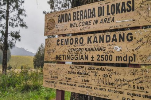 Fasilitas dan Alamat Cemoro Kandang Karanganyar, Jalur Pendakian Dengan View Yang Menawan