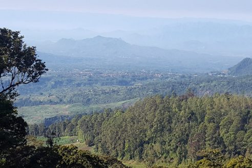 Fasilitas dan Alamat Cemoro Kandang Karanganyar, Jalur Pendakian Dengan View Yang Menawan