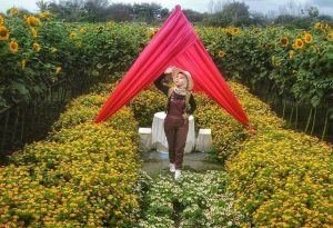 Harga Tiket Dan Alamat Romantic Garden Jogja, Wisata Baru di Jogja Yang Siap Untuk Diburu