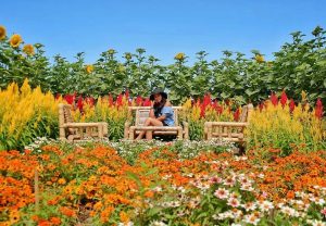 Harga Tiket Dan Alamat Romantic Garden Jogja, Wisata Baru di Jogja Yang Siap Untuk Diburu