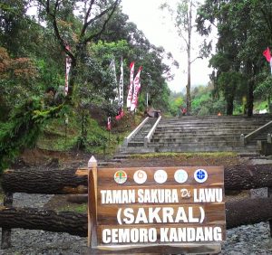 Fasilitas dan Alamat Cemoro Kandang Karanganyar, Jalur Pendakian Dengan View Yang Menawan
