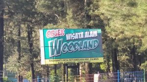 Harga Tiket Masuk dan Alamat Woodland Kuningan, Destinasi Wisata Dengan Suguhan View Pinus