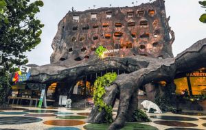 Lokasi dan Harga Sewa Kamar Pohon inn Hotel Batu, Nikmati Serunya Menginap Dalam Pohon Raksasa