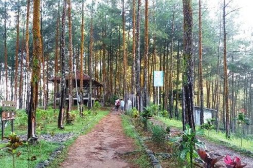Harga Tiket Masuk dan Lokasi Bukit Pentulu Indah Kebumen, Spot Terbaru Untuk Pecinta Sunrise