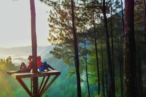 Harga Tiket Masuk dan Lokasi Bukit Pentulu Indah Kebumen, Spot Terbaru Untuk Pecinta Sunrise