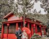 Rute dan Harga Tiket Masuk Sakura Hills Tawangmangu, Destinasi Wisata Instagramable Ala Negeri Sakura