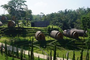 Harga Sewa dan Lokasi Shanaya Hotel & Resort Malang, Penginapan Nyaman dengan Fasilitas Unggulan