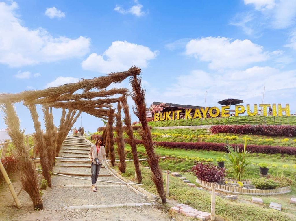 Harga Tiket dan Alamat Bukit Kayoe Putih Mojokerto, Café Kekinian Dengan Berbagai Menu Andalan