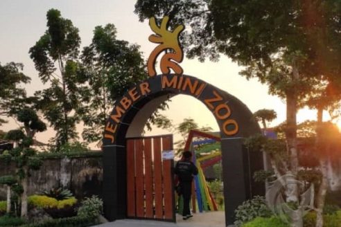 Harga Tiket Masuk dan Lokasi Jember Mini Zoo, Wisata Edukasi dengan Sejuta Wahana