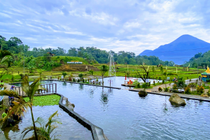 Lokasi Dan Harga Tiket Masuk Sumber Gempong Trawas, Serunya Berwisata Dengan View Sawah Dan Pegunungan