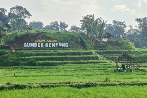Lokasi Dan Harga Tiket Masuk Sumber Gempong Trawas, Serunya Berwisata Dengan View Sawah Dan Pegunungan