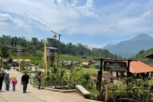 Lokasi Dan Harga Tiket Masuk Sumber Gempong Trawas, Serunya Berwisata Dengan View Sawah Dan Pegunungan