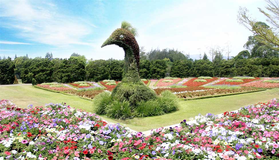 Terbaru 19 Download Gambar Taman Bunga Nusantara Gambar 