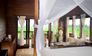 7 Hotel Di Bali Dengan Harga Dibawah 500 Ribuan Yang Mungkin Bisa Menjadi Pilihan Anda