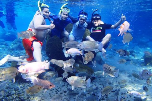 Objek Wisata Umbul Ponggok, Sensasi Baru Untuk Spot Foto Underwater