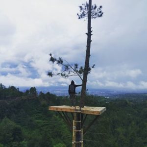 Lokasi dan Harga Tiket Masuk Bukit Bulu Coban Rais Batu Malang, Spot Wisata Baru Yang Menggoda