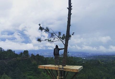 Lokasi dan Harga Tiket Masuk Bukit Bulu Coban Rais Batu Malang, Spot Wisata Baru Yang Menggoda