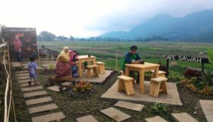 Lokasi Dan Rute Menuju Cafe Sawah Pujon, Serunya Menikmati Hidangan Di Temani Pemandangan Sawah