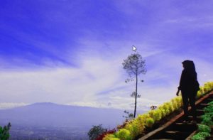 Lokasi dan Harga Tiket Masuk Bukit Bulu Coban Rais Batu Malang, Spot Wisata Baru Yang Menggoda