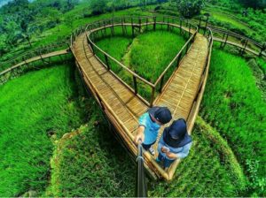Lokasi Dan Harga Tiket Masuk Jembatan Cinta Purbalingga, Indahnya Jembatan di Tengah Sawah