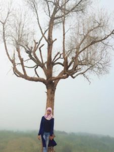 Lokasi Dan Alamat Pohon Jomblo Solok Sumbar, Spot Selfie Terbaru di Balik Pohon Kering