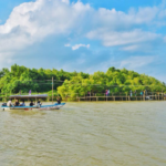 Harga Tiket Masuk dan Lokasi Pantai Pasir Kadilangu Jogja, Spot Terbaru Untuk Yang Ingin Move On Harga Tiket
