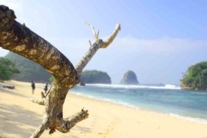 Lokasi dan Rute Menuju Pantai Watu Leter,  Keindahan Alam Suguhan dari Malang Selatan