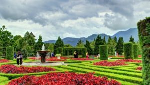 Lokasi dan Harga Tiket Masuk Taman Bunga Wiladatika Depok, Tempat Wisata Keluarga Yang Begitu Menggoda