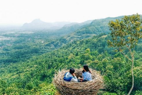 Harga Tiket Masuk dan Alamat Bukit Jomblo Tulungagung, Serunya Ngadem Dalam Sangkar Burung