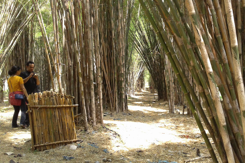Wisata Pohon Bambu Bekasi Tempat Wisata Indonesia