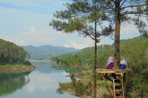 Lokasi dan Harga Tiket Masuk Ranu Gumbolo Tulungagung, Spot Wisata Danau Indah Yang Mempesona