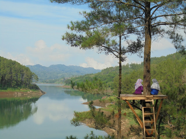 Lokasi dan Harga Tiket Masuk Ranu Gumbolo Tulungagung, Spot Wisata Danau Indah Yang Mempesona