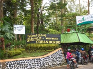 Lokasi dan Harga Tiket Masuk Taman Labirin Coban Rondo Malang, Serunya Bermain Petak Umpet di Tengah Tumbuhan Hijau