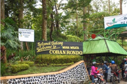 Lokasi dan Harga Tiket Masuk Taman Labirin Coban Rondo Malang, Serunya Bermain Petak Umpet di Tengah Tumbuhan Hijau