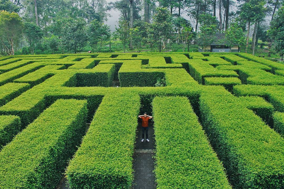 Lokasi Dan Harga Tiket Masuk Taman Labirin Coban Rondo Malang Serunya Bermain Petak Umpet Di Tengah Tumbuhan Hijau Daka Tour