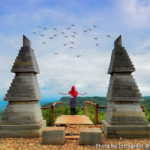 Alamat dan Harga Tiket Masuk Bukit Lintang Sewu Jogja, Spot Wisata Terbaru dengan Suguhan Hutan Kayu Putih