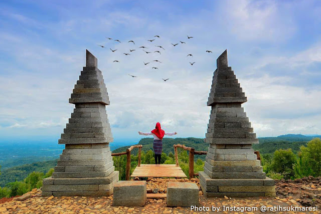 Alamat dan Harga Tiket Masuk Bukit Lintang Sewu Jogja, Spot Wisata Terbaru dengan Suguhan Hutan Kayu Putih