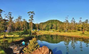 Lokasi dan Harga Tiket Masuk Kampung Cai Ranca Upas, Spot Wisata Alam Terbuka dan Bumi Perkemahan di Bandung