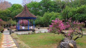 Lokasi dan Harga Tiket Masuk Kebun Raya Purwodadi, Destinasi Wisata Keluarga Yang Patutu Untuk Anda Singgai di Pasuruan
