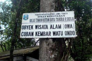 Harga Tiket Masuk dan Lokasi Coban Kembar Watu Ondo Mojokerto, Bukit Selfie Terbaru di Jawa Timur