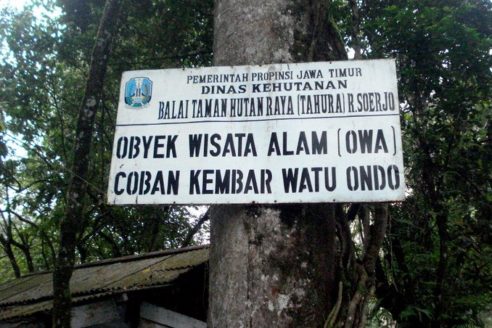 Harga Tiket Masuk dan Lokasi Coban Kembar Watu Ondo Mojokerto, Bukit Selfie Terbaru di Jawa Timur