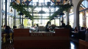 Lokasi dan Harga Menu Cafe Kalpa Tree Bandung, Cafe Fenomenal dari Kota Kembang