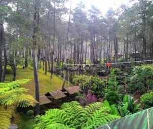 Harga Tiket Masuk dan Lokasi Orchid Forest Lembang, Kolaborasi Tempat Wisata dengan Konservasi Alam
