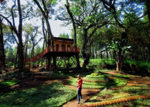 Harga Tiket Masuk dan Rute Menuju Kampung Enam Wajak Malang, Spot Rumah Pohon Terbaru