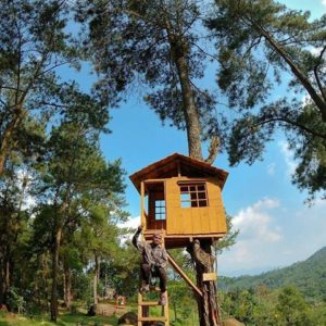 Lokasi dan Rute Menuju Punthuk Mangir Magelang, Spot Wisata Hits Kekinian