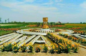 Alamat dan Harga Tiket Taman Agro Wisata Jombang, Spot Wisata Ngehits Terbaru